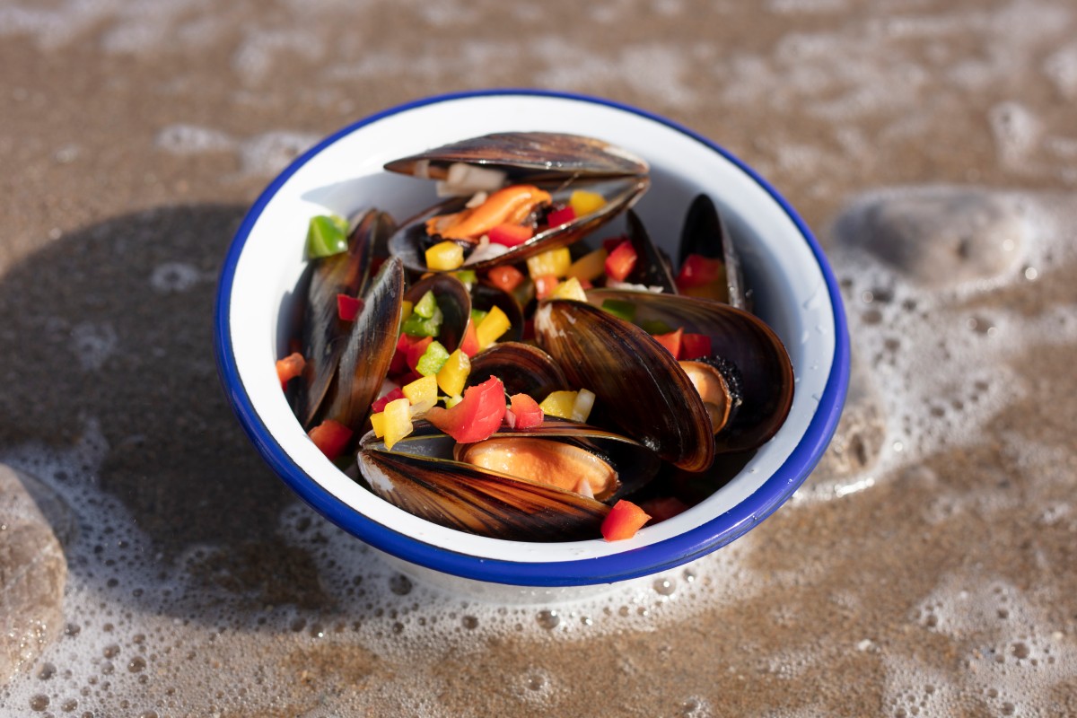 Mehr über den Artikel erfahren Vestibulum ante ipsum primis